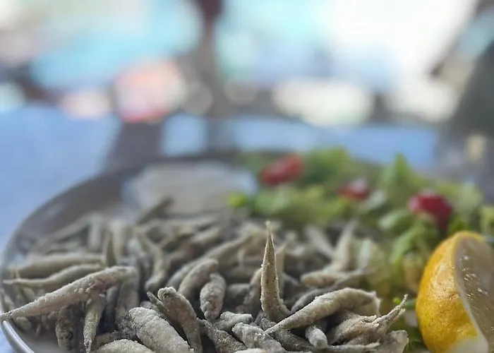 公寓 Olive Grove Retreat 卡利