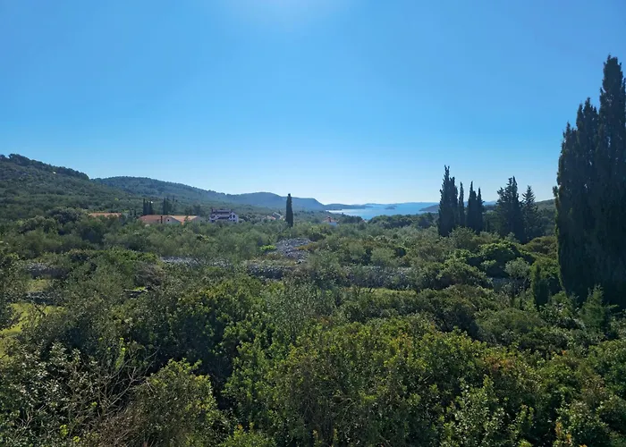 公寓 Olive Grove Retreat *