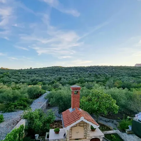 Olive Grove Retreat Kali