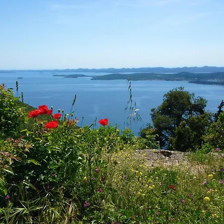 Olive Grove Retreat Appartement *