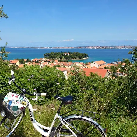 Olive Grove Retreat Appartement