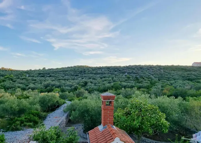 Olive Grove Retreat Кали