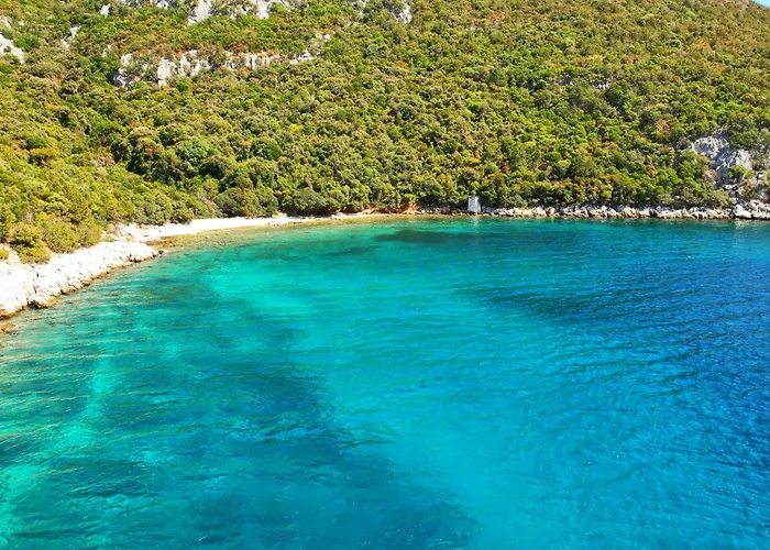 Olive Grove Retreat *