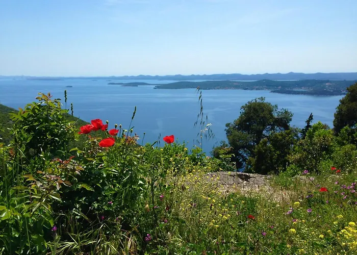 Olive Grove Retreat Апартаменты *