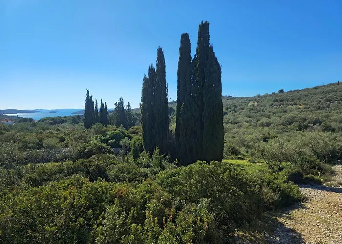 Olive Grove Retreat