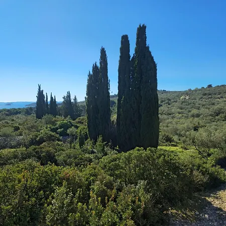 Olive Grove Retreat